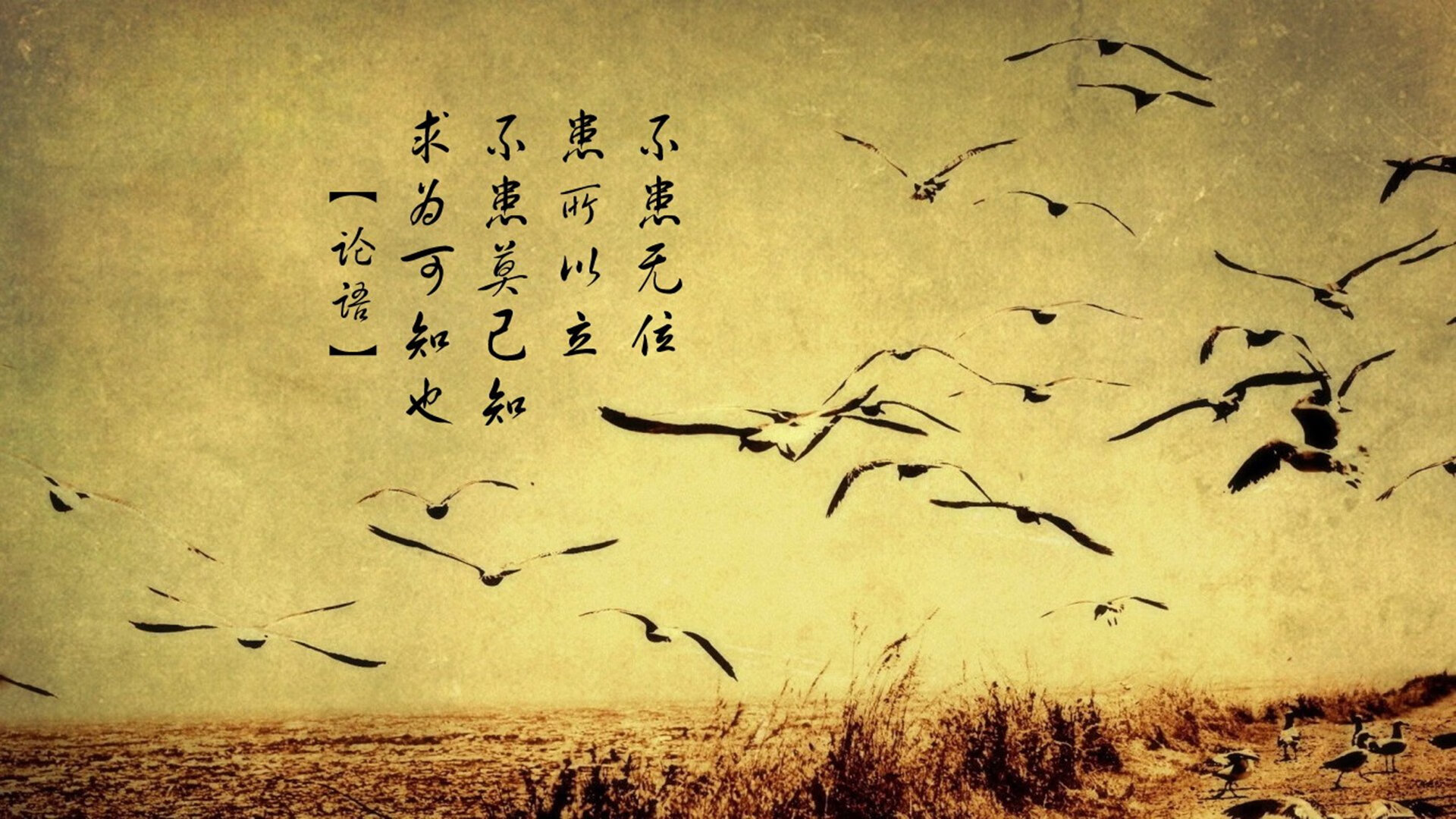 九游体育网站-“德甲联盟进入关键阶段，冠军争夺再度升级”，德甲冠军次数排名最新